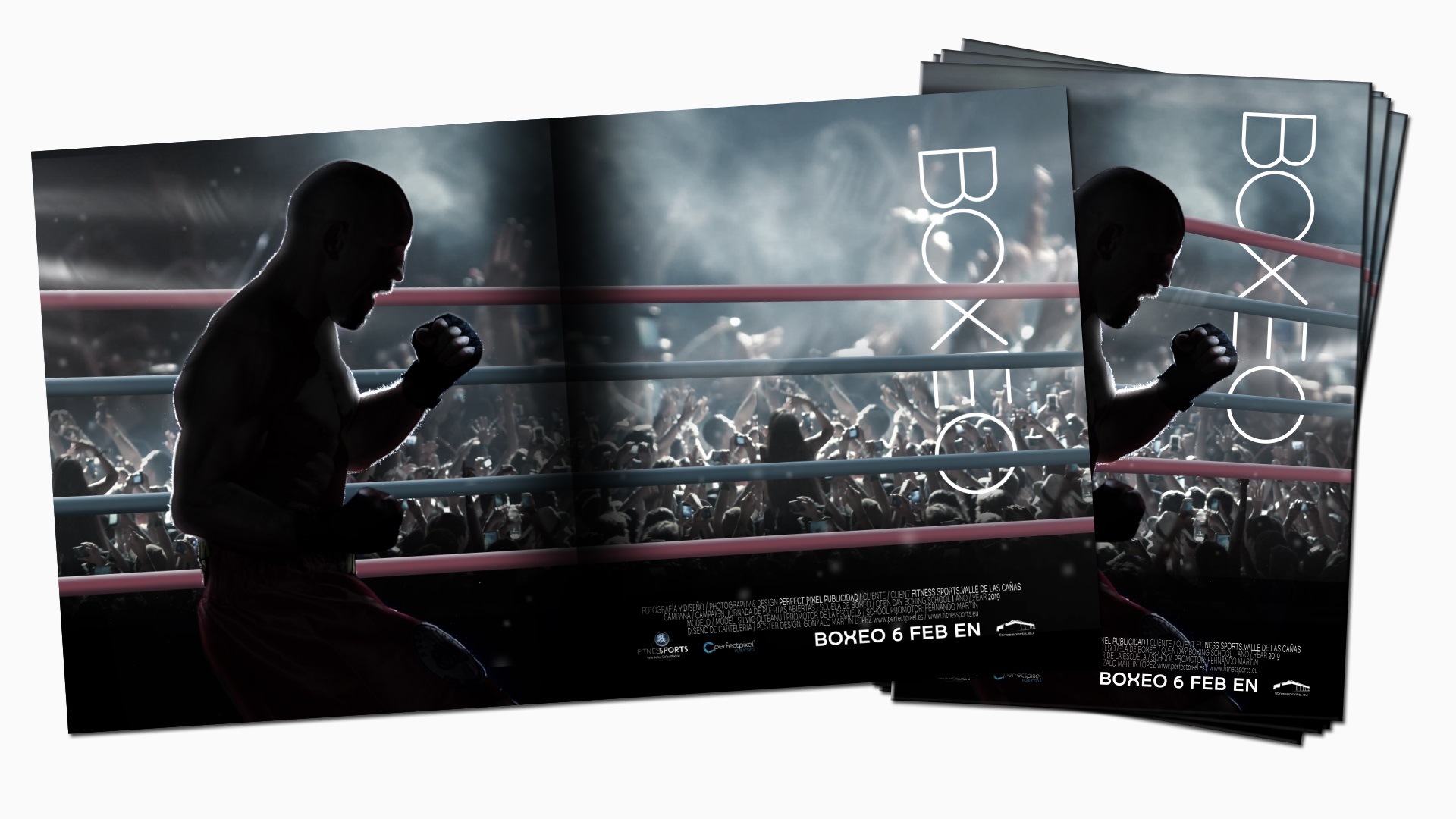 CArteleria de Pelicula Perfect Pixel Publicidad Film Poster Boxing